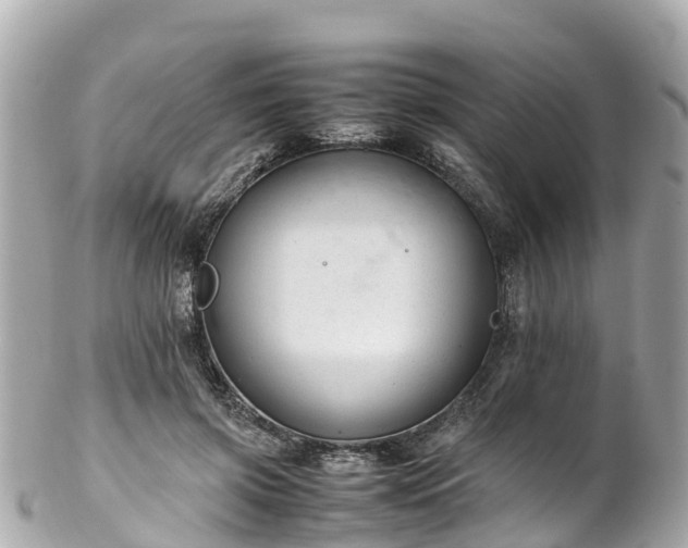 X0000102510549200808151549