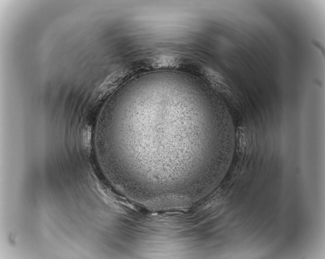 X0000102510550200808151549