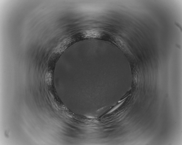 X0000102510551200808151549