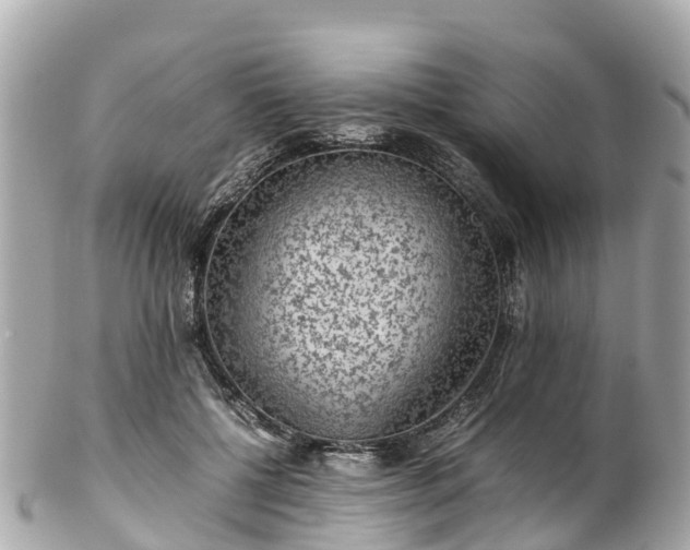 X0000102510552200808151549