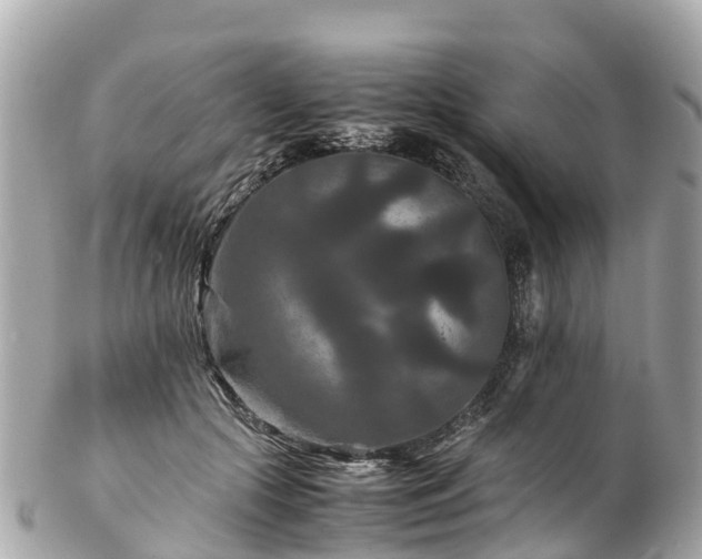 X0000102510553200808151549