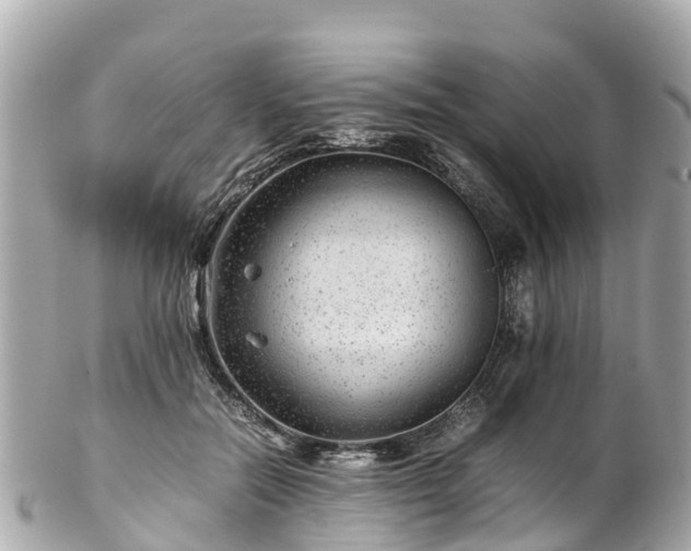 X0000102510554200808151549