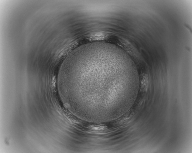 X0000102510555200808151549