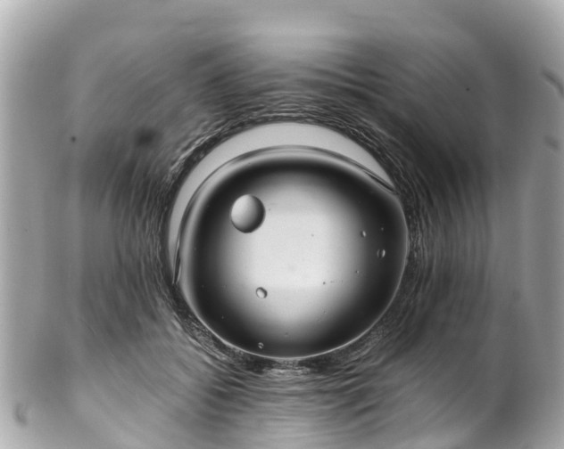X0000102510556200808151549