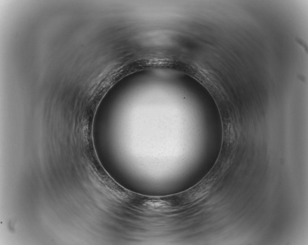 X0000102510557200808151549