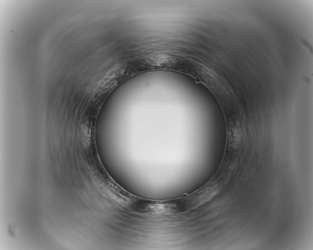 X0000102510558200808151549