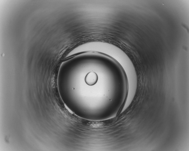 X0000102510560200808151549