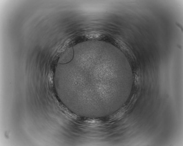 X0000102510561200808151549