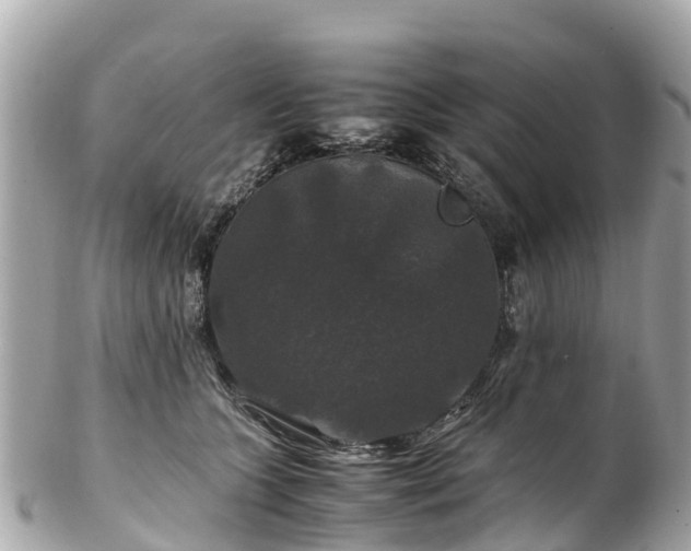 X0000102510563200808151549