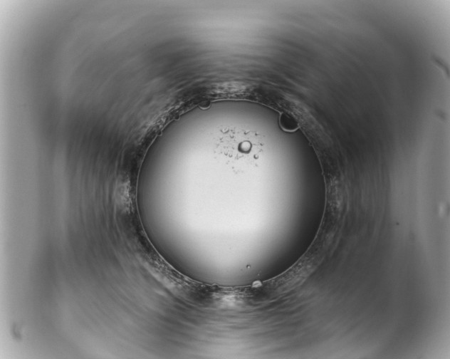 X0000102510564200808151549