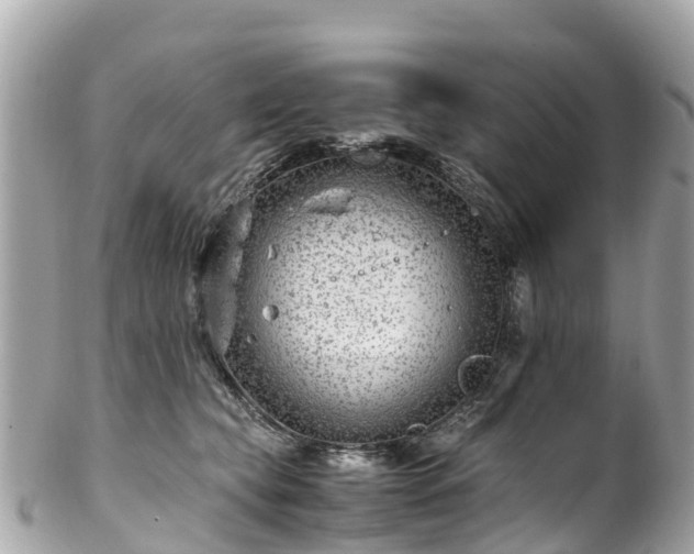 X0000102510565200808151549