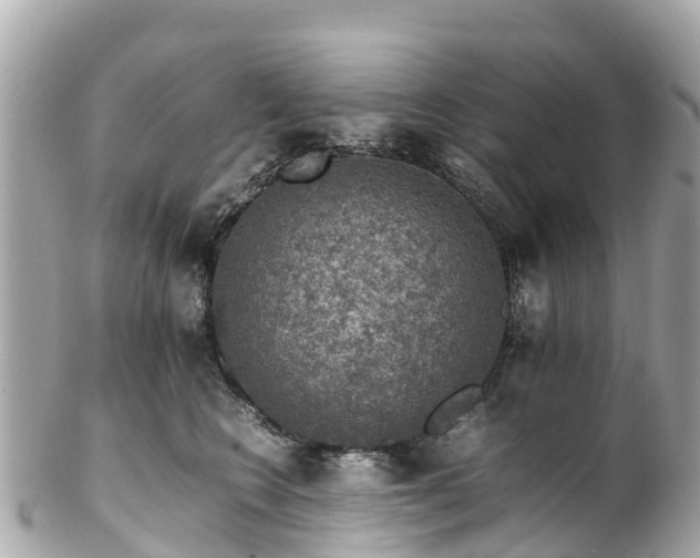 X0000102510566200808151549