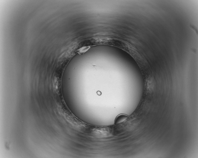 X0000102510567200808151549