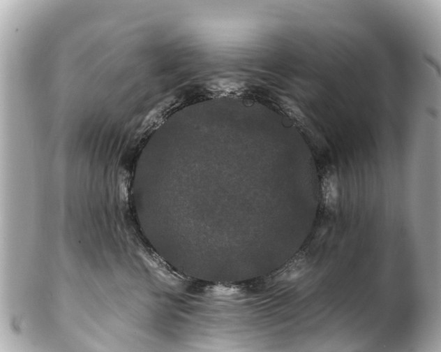 X0000102510570200808151549