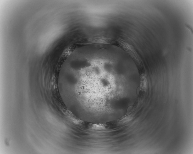 X0000102510573200808151549
