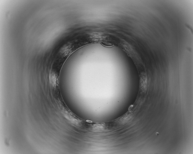 X0000102510574200808151549