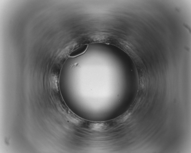 X0000102510575200808151549