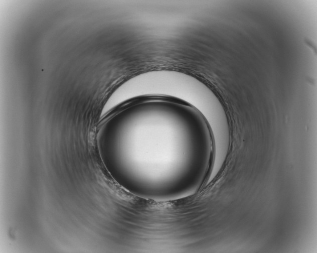 X0000102510576200808151549