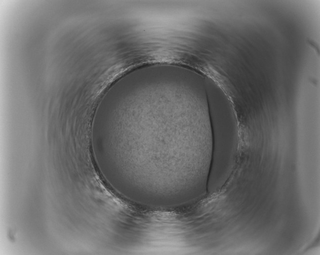 X0000102510577200808151549