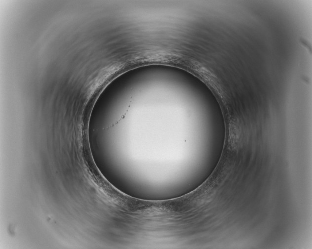 X0000102510578200808151549
