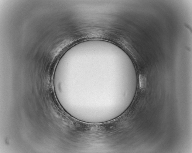 X0000102510579200808151549