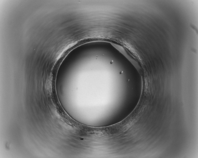 X0000102510580200808151549