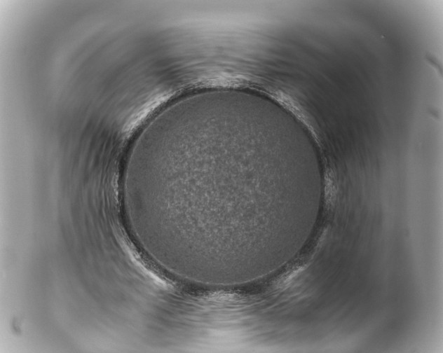 X0000102510581200808151549