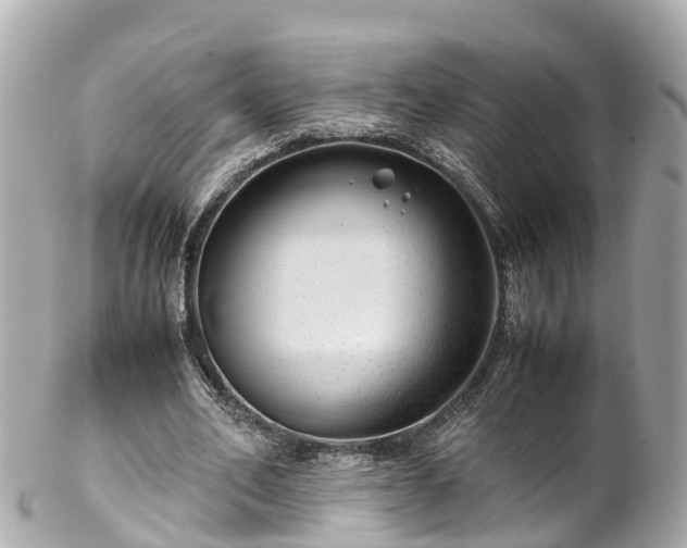 X0000102510582200808151549