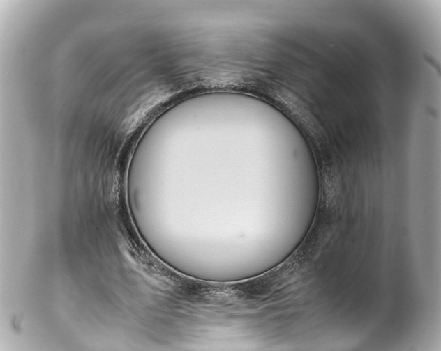 X0000102510583200808151549