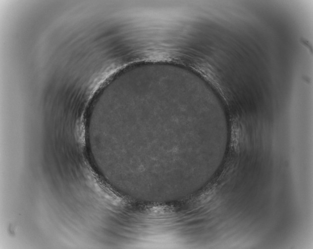 X0000102510584200808151549