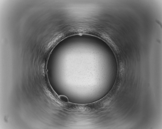 X0000102510585200808151549