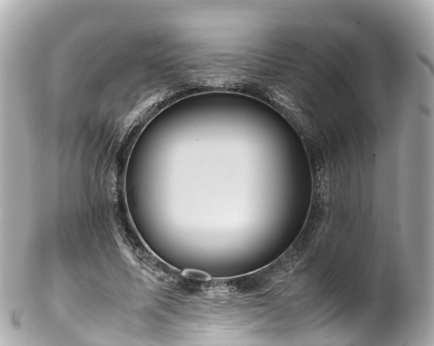 X0000102510587200808151549