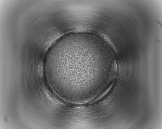 X0000102510588200808151548