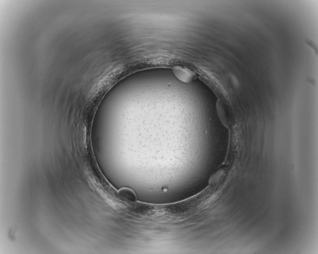 X0000102510589200808151548