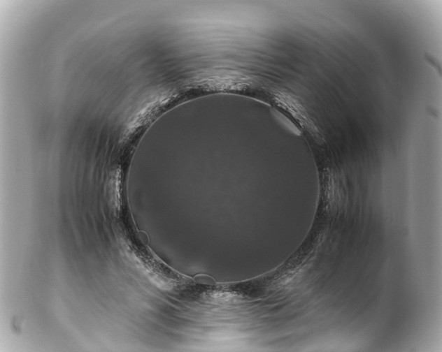 X0000102510590200808151548
