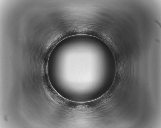 X0000102510591200808151548