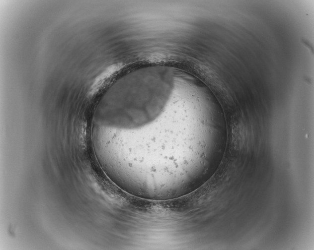 X0000102510592200808151548