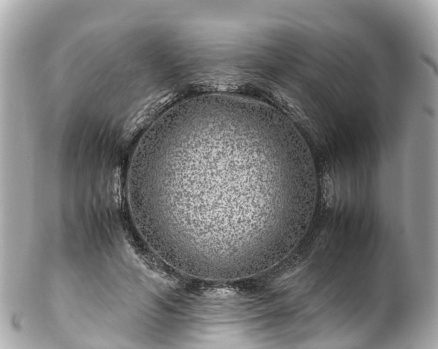 X0000102510594200808151548