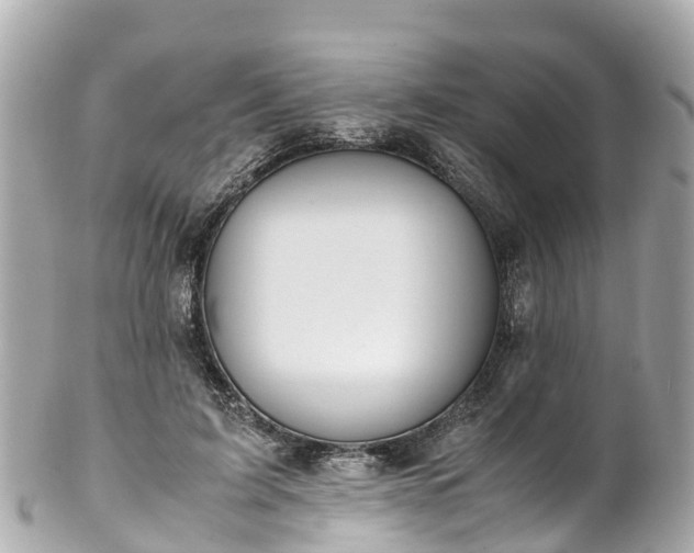 X0000102510595200808151548