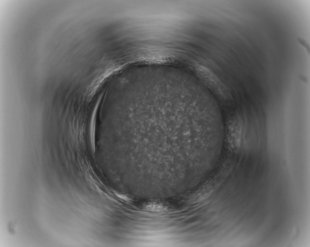 X0000102510596200808151548