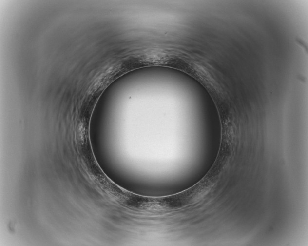 X0000102510597200808151548