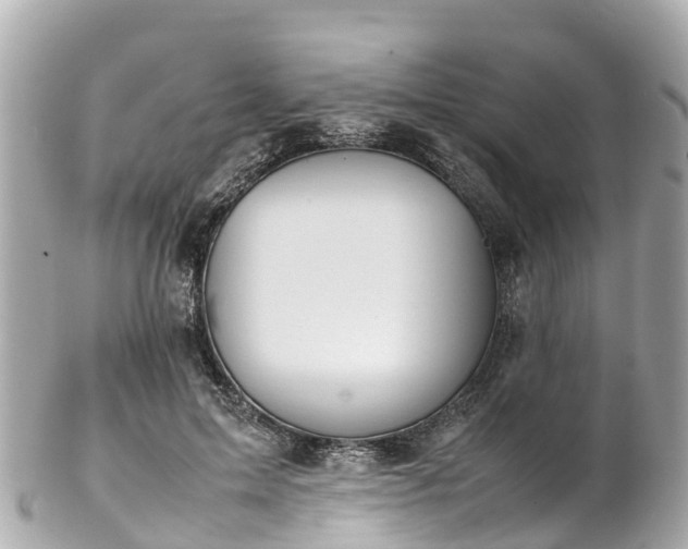 X0000102510599200808151548