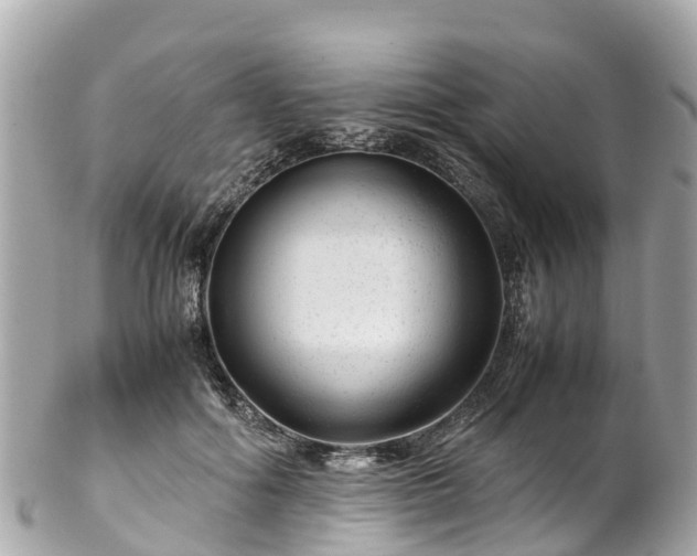 X0000102510602200808151548