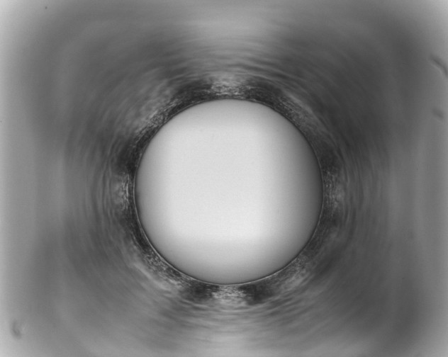 X0000102510603200808151548
