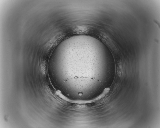 X0000102510604200808151548