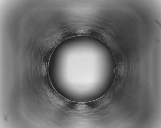 X0000102510605200808151548