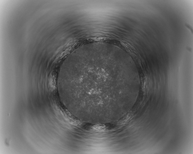 X0000102510606200808151548