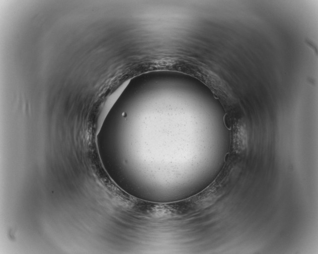 X0000102510608200808151548