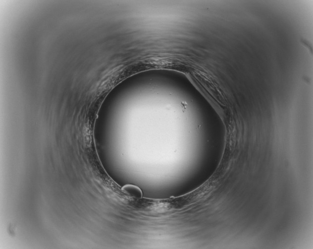 X0000102510609200808151548
