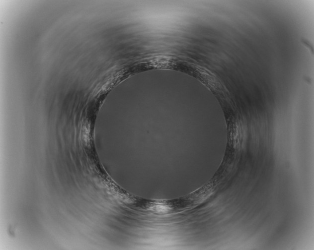 X0000102510610200808151548